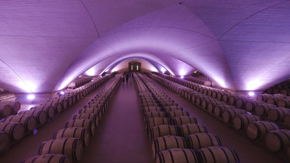sala de barricas de bodegas Otazu